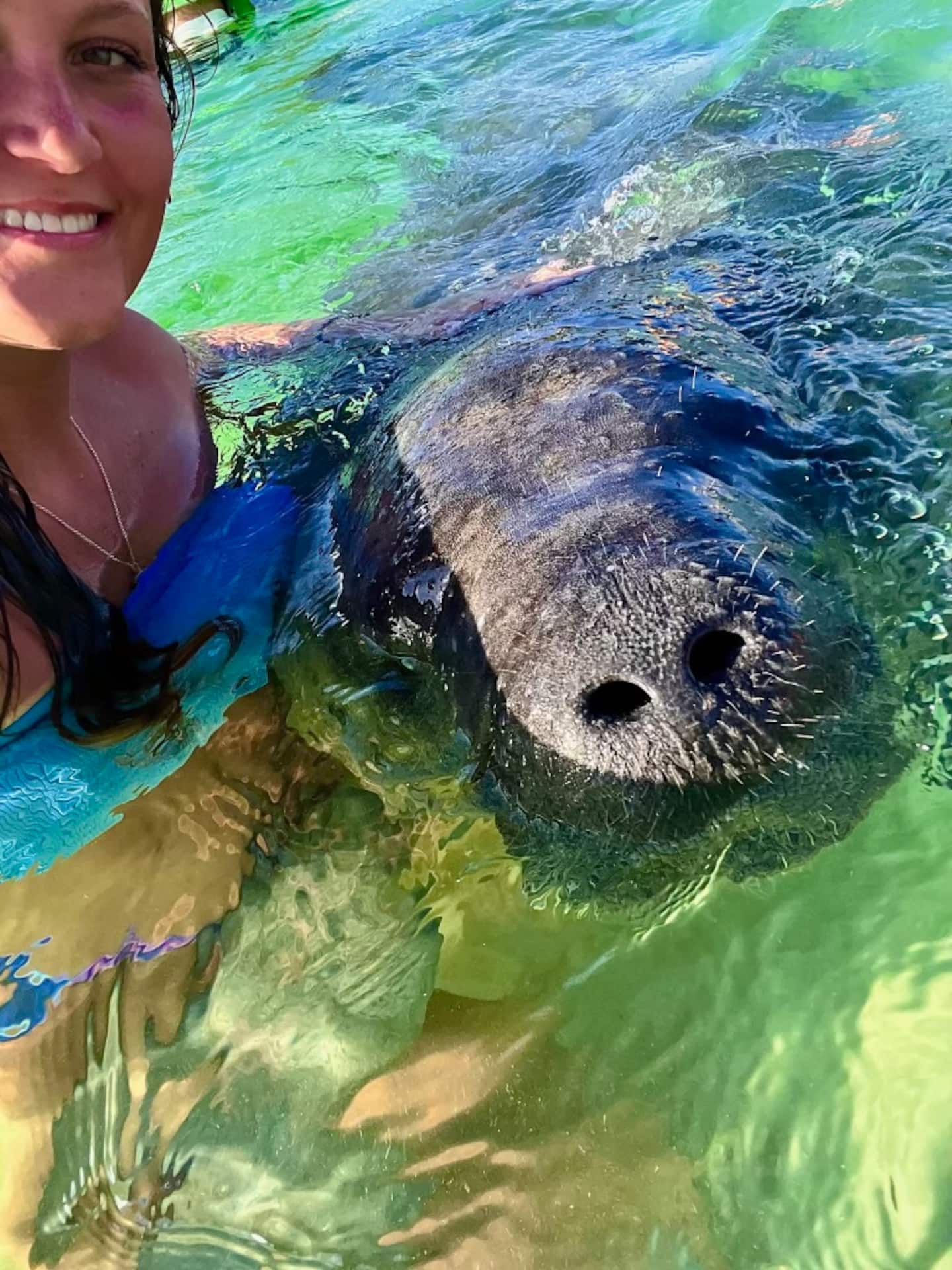 Ocean Adventure